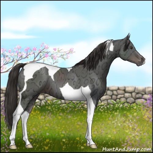 Horse Color:Liver Chestnut Ice Tobiano 