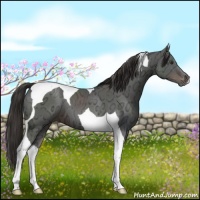 Horse Color:Liver Chestnut Ice Tobiano