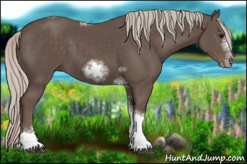 Horse Color:Silver Black Sabino Tobiano Frame Rabicano