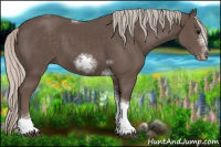 Horse Color:Silver Black Sabino Tobiano Frame Rabicano