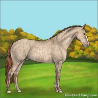 Horse Color:Liver Red Dun  and Gold Champagne Dun 
