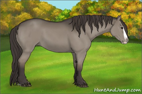 Horse Color:Smoky Grullo Splash
