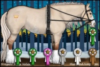 Horse Color:Silver Bay Roan Dun Sabino Rabicano 