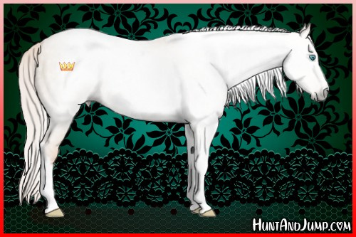 Horse Color:Gray Silver Amber Champagne Pearl Dun Tobiano Frame 