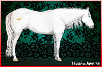 Horse Color:Gray Silver Amber Champagne Pearl Dun Tobiano Frame 