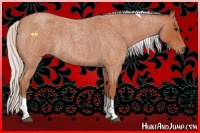 Horse Color:Silver Bay Roan Tobiano Rabicano