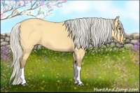 Horse Color:Silver Buckskin Dun Tobiano 