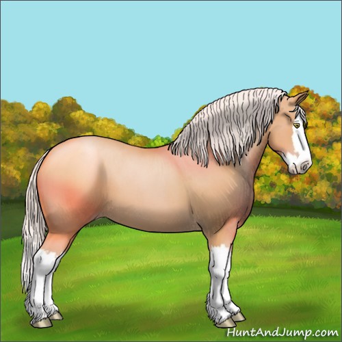 Horse Color:Silver Bay Roan Pearl Splash