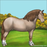 Horse Color:Liver Chestnut Pearl 