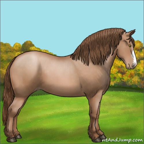 Horse Color:Brown Pearl 