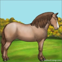 Horse Color:Brown Pearl