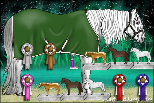 Horse Color:Gray Black Appaloosa 