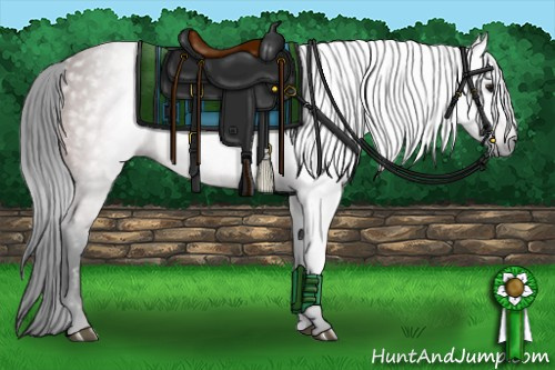 Horse Color:Gray Bay 