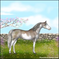 Horse Color:White Spotted Liver Chestnut Mushroom Sabino Splash Snowflake Varnish 