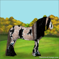 Horse Color:White Spotted Classic Champagne Ice Sabino 
