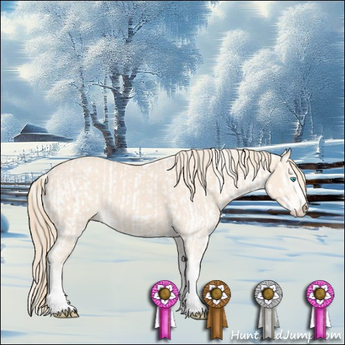 Horse Color:Perlino Sabino  and Perlino Sabino 