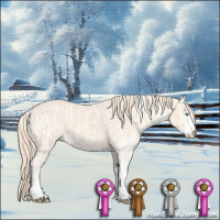 Horse Color:Perlino Sabino and Perlino Sabino