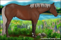Horse Color:Silver Brown Rabicano 