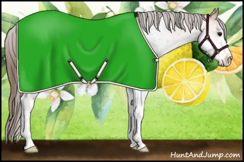 Horse Color:White Spotted Bay Roan Snowcap 