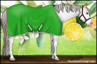Horse Color:White Spotted Bay Roan Snowcap 