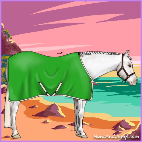 Horse Color:Red Roan Blanket 