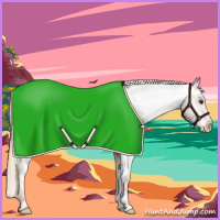 Horse Color:Red Roan Appaloosa 