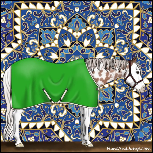 Horse Color:Silver Bay Roan Splash Appaloosa 