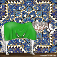Horse Color:Silver Bay Roan Splash Near Leopard