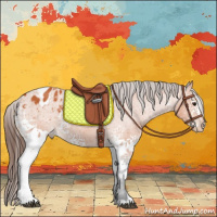Horse Color:White Spotted Bay Appaloosa