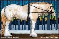 Horse Color:Buckskin Pearl Tobiano Blanket