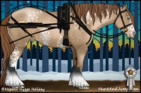 Horse Color:White Spotted Smoky Black Pearl Rabicano