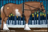 Horse Color:White Spotted Chestnut 