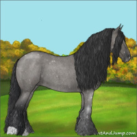 Horse Color:Grullo Roan 