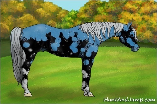 Horse Color:ERROR: UNKNOWN ANOMALY