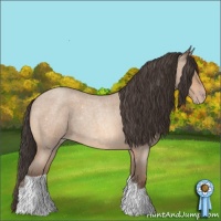 Horse Color:Amber Champagne Roan 