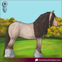 Horse Color:Amber Champagne Roan 