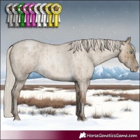 Horse Color:Gray Silver Smoky Grullo Roan Pearl Brindle 