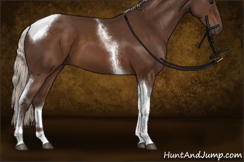 Horse Color:Silver Buckskin Tobiano