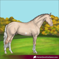 Horse Color:Silver Classic Champagne Dun Splash Frame