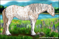 Horse Color:Liver Chestnut Pearl Tobiano Frame and Liver Chestnut Pearl Tobiano Frame Appaloosa