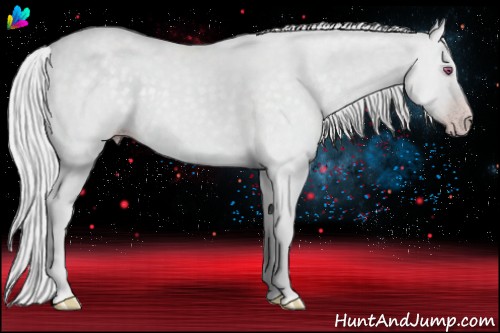 Horse Color:Silver Classic Champagne Chinchilla Dun 