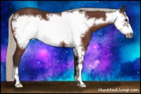 Horse Color:Silver Brown Frame 