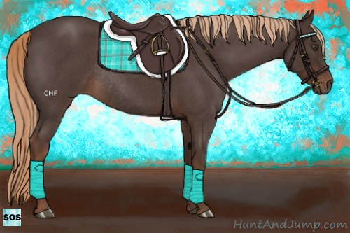 Horse Color:Liver Red Roan Rabicano 