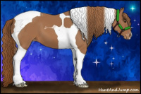 Horse Color:Chestnut Tobiano Varnish