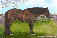 Horse Color:Buckskin Sabino Rabicano and Smoky Black Sabino