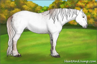 Horse Color:Gray Chestnut Sabino  and Gray Chestnut Sabino 