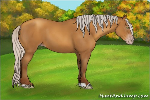 Horse Color:Gray Silver Amber Champagne 
