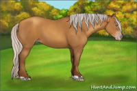 Horse Color:Gray Silver Amber Champagne 
