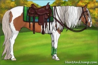 Horse Color:Silver Bay Tobiano