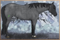 Horse Color:Blue Roan 